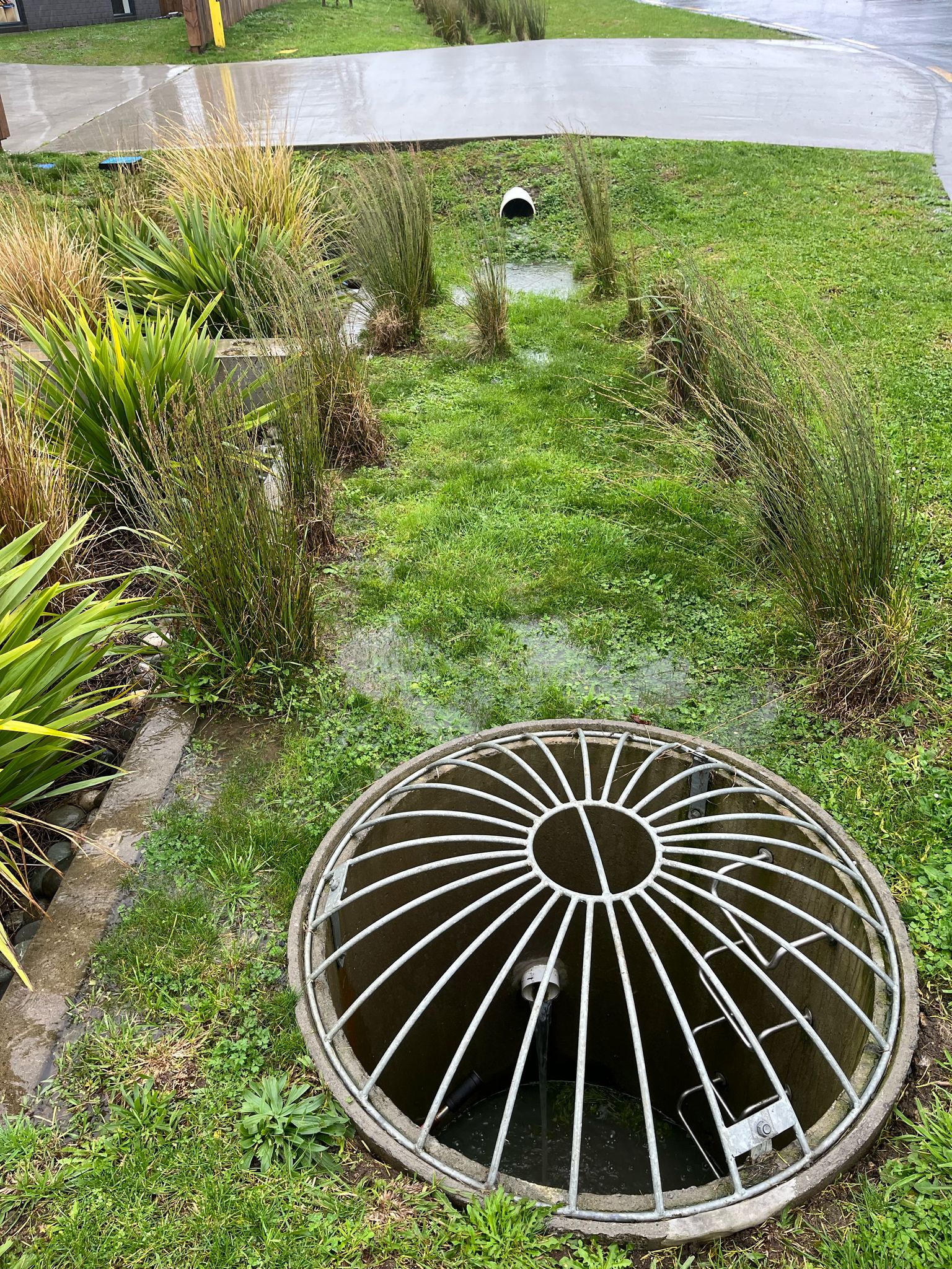 Huntly Filterra® - Swale
