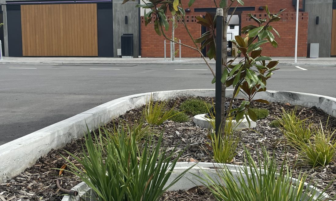 Filterra® at Rolleston