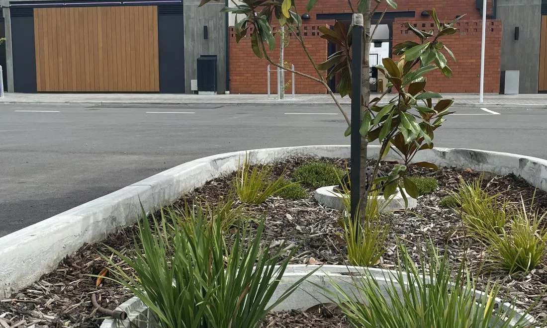 Filterra® at Rolleston