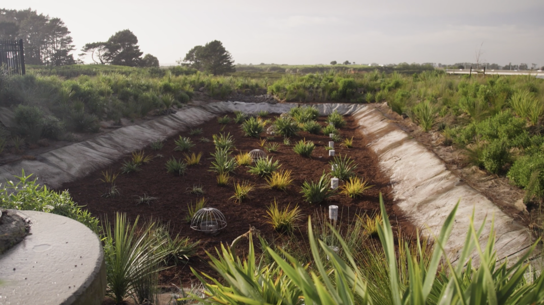 Filterra® Bioscape® in Auckland
