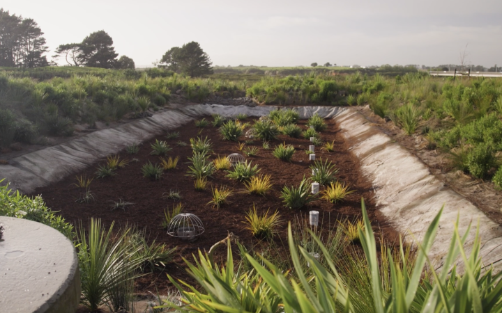 Filterra® Bioscape® in Auckland