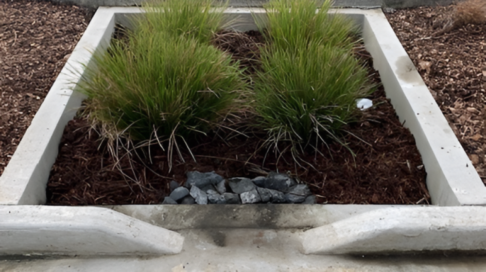 Filterra® at Palmerston North