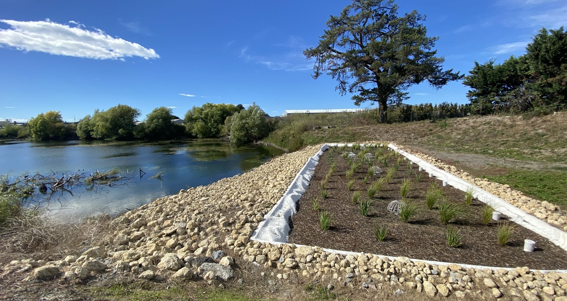 Filterra® Bioscape® at Lowes Pit