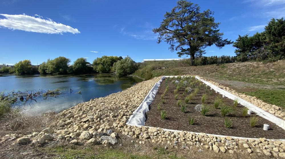 Filterra® Bioscape® at Lowes Pit