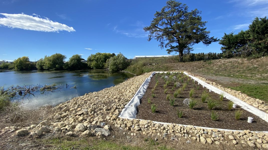 Filterra® Bioscape® at Lowes Pit