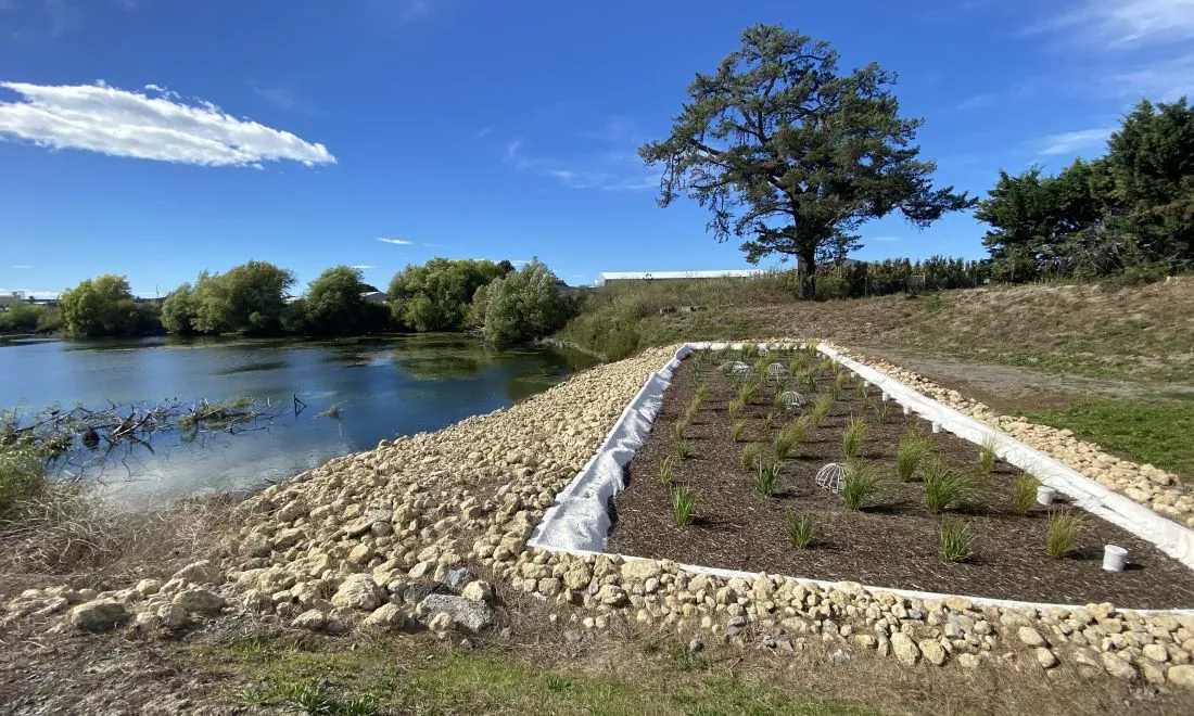 Filterra® Bioscape® at Lowes Pit, Hastings