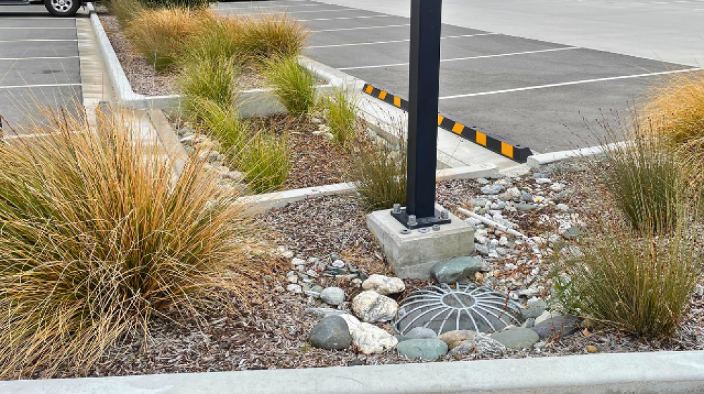 Smaller. Smarter. Better: The Future of Raingardens in New Zealand