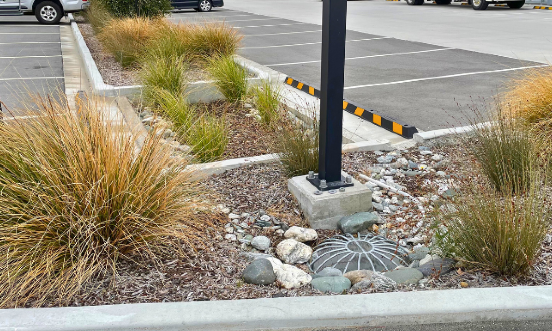 Smaller. Smarter. Better: The Future of Raingardens in New Zealand