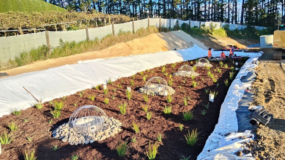 Industrial Filterra® Bioscape® at Ōmokoroa