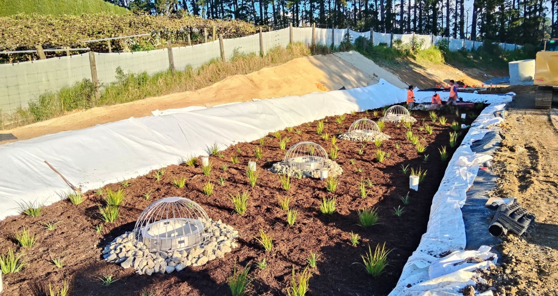 Industrial Filterra® Bioscape® at Ōmokoroa