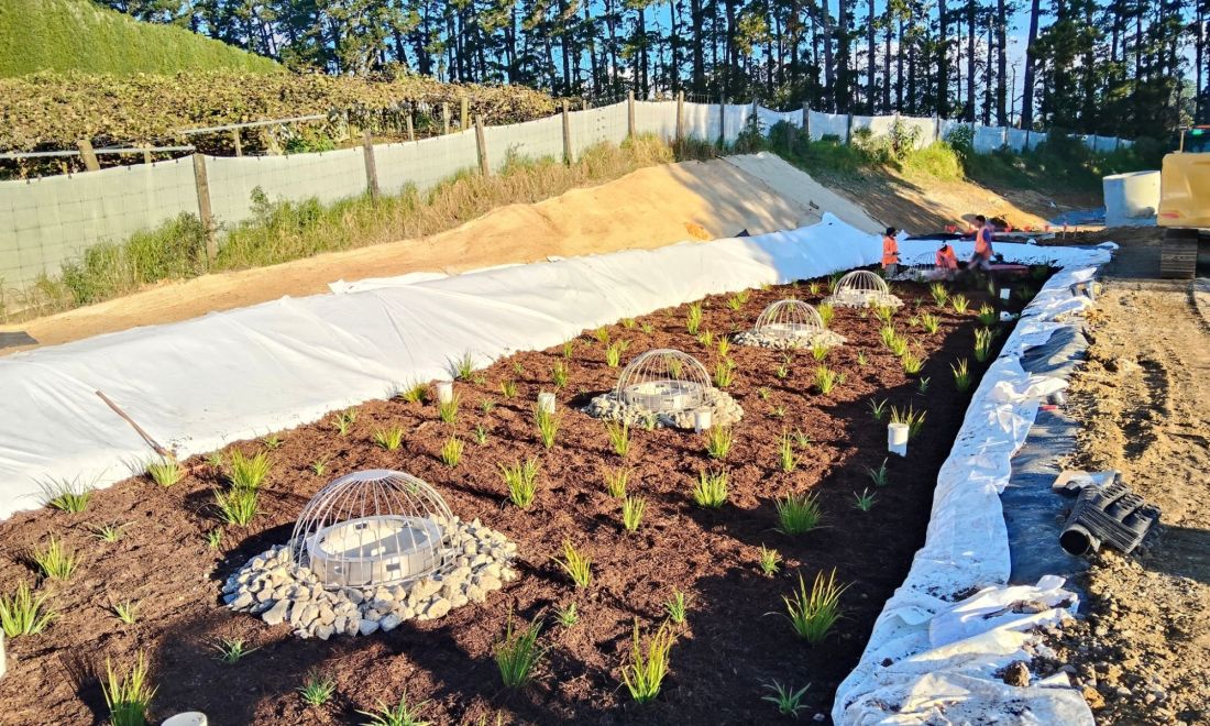 Industrial Filterra® Bioscape® at Ōmokoroa