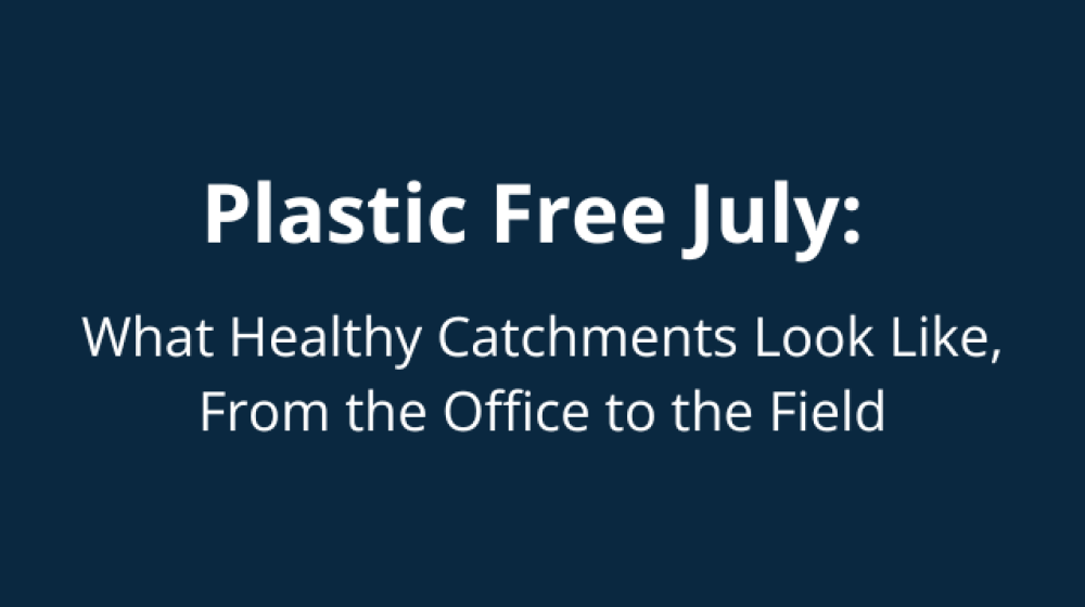 Plastic Free July: What Healthy Catchments Look Like, From the Office to the Field