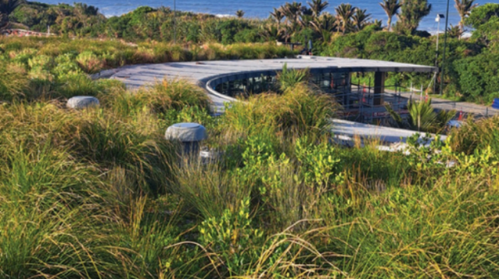 LiveRoof® at Punakaiki Visitor Experience and Exhibition Centre