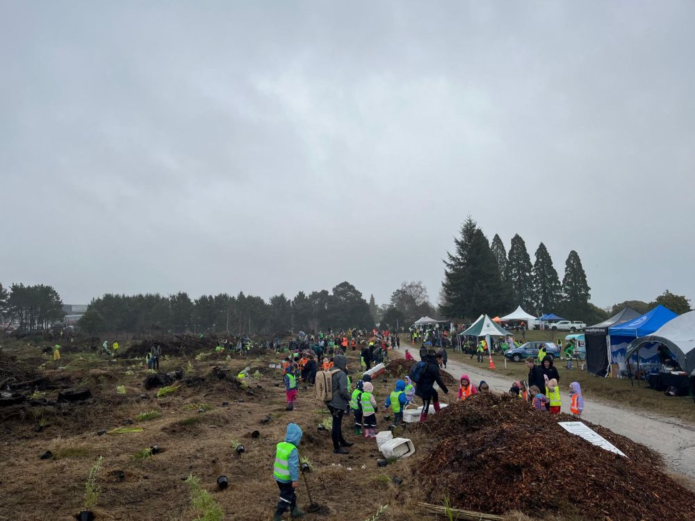 Greening Taupō 2025